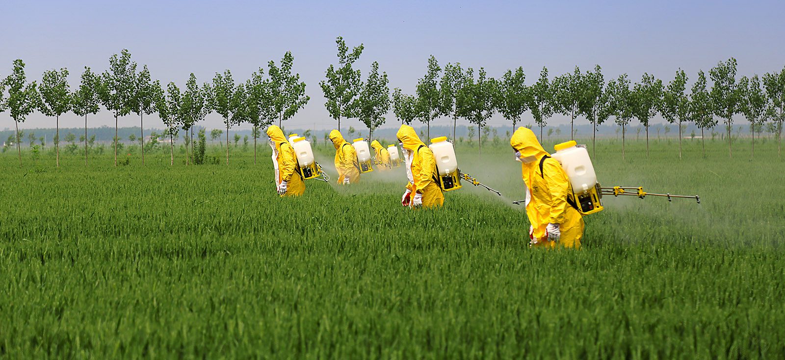 Agrochemicals