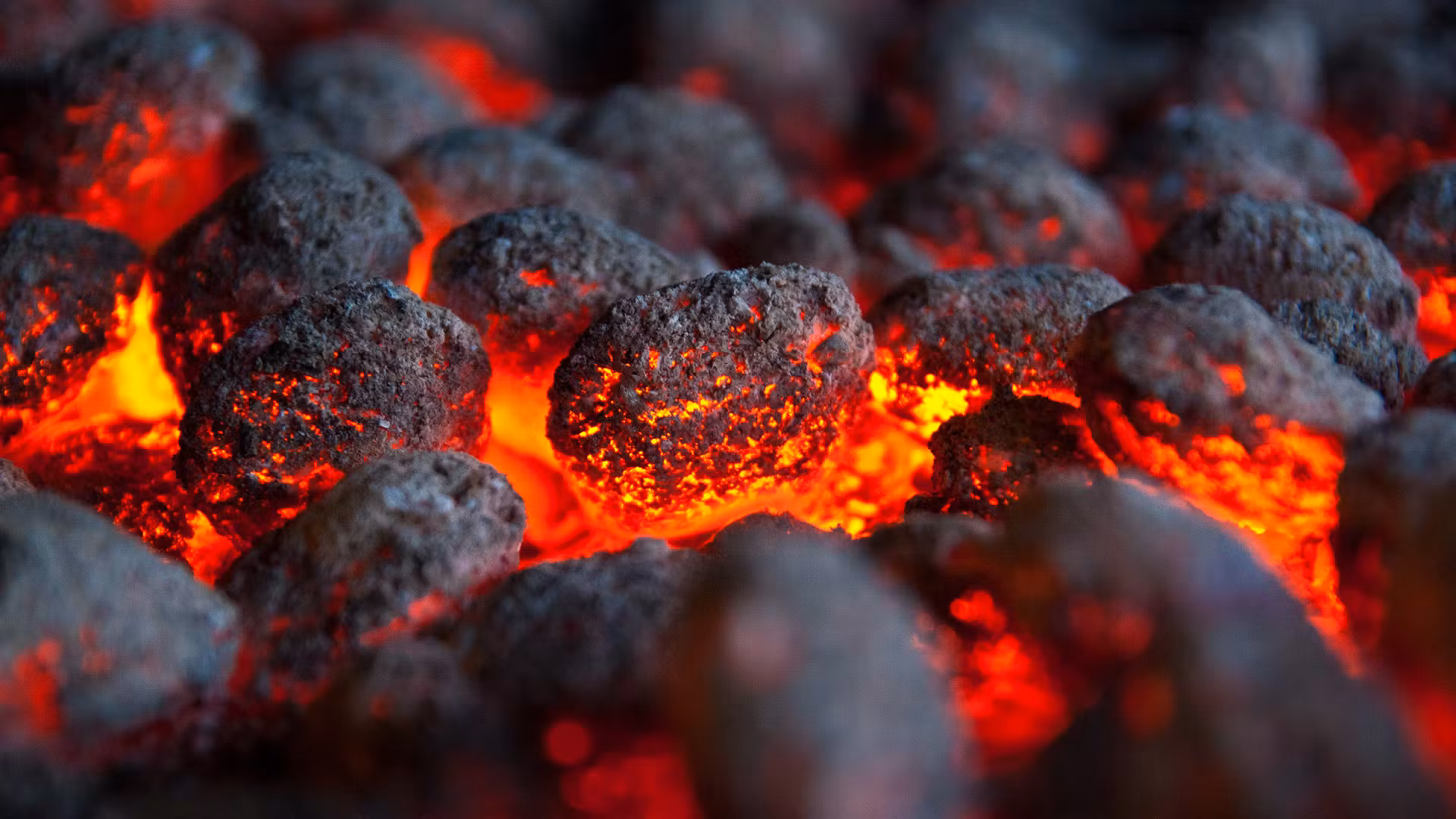 Coal & Solid Fuels